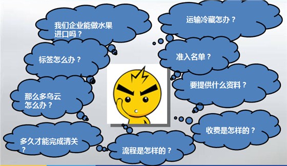 水果进口外贸代理