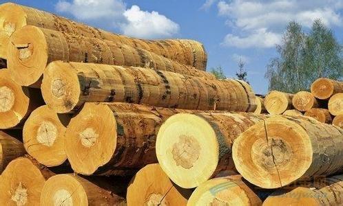 木材进口外贸代理公司