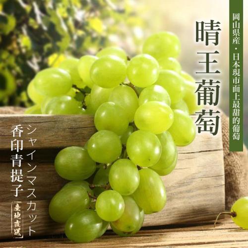 进口外贸代理