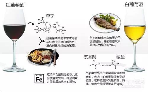 进口外贸代理