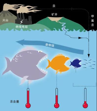 出口外贸代理