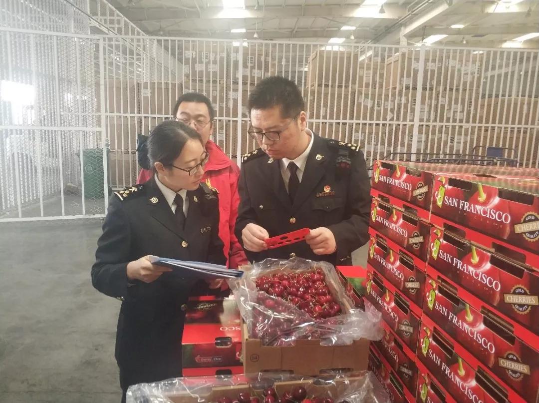 出口外贸代理