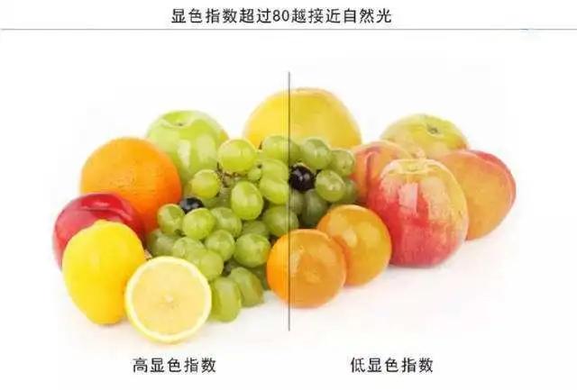 进口外贸代理