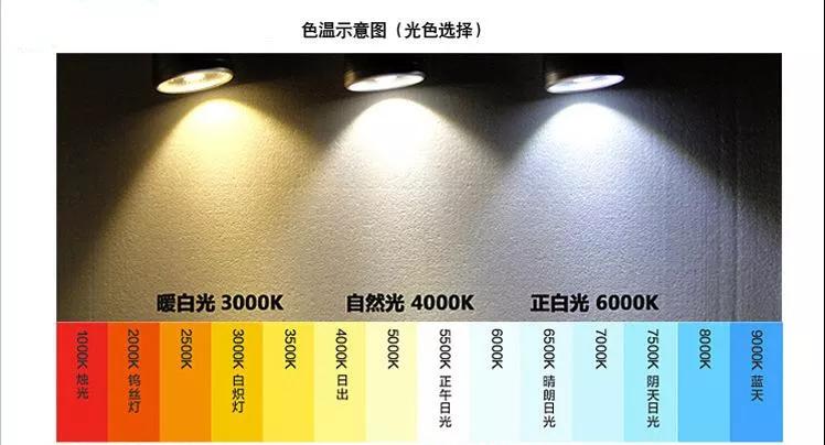 进口外贸代理