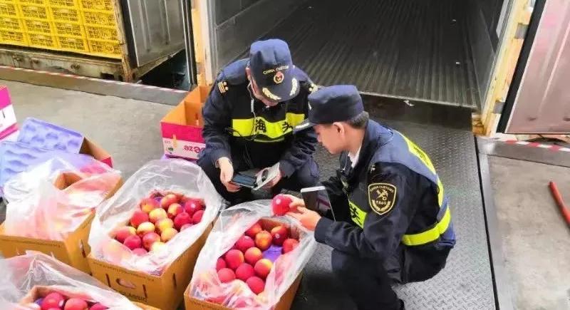 出口外贸代理
