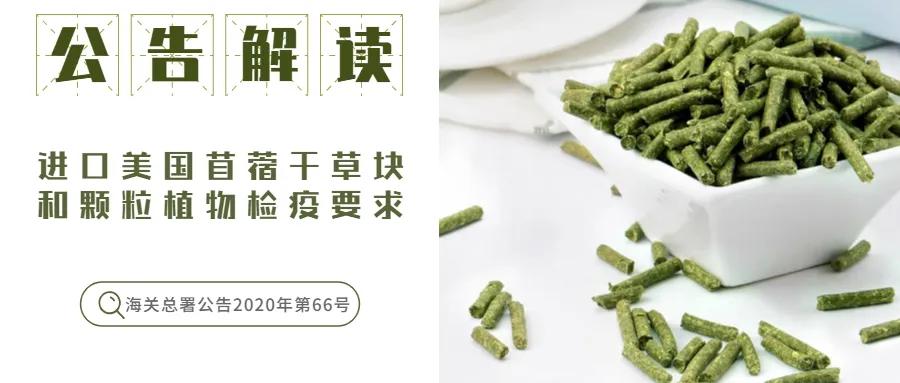 进口外贸代理