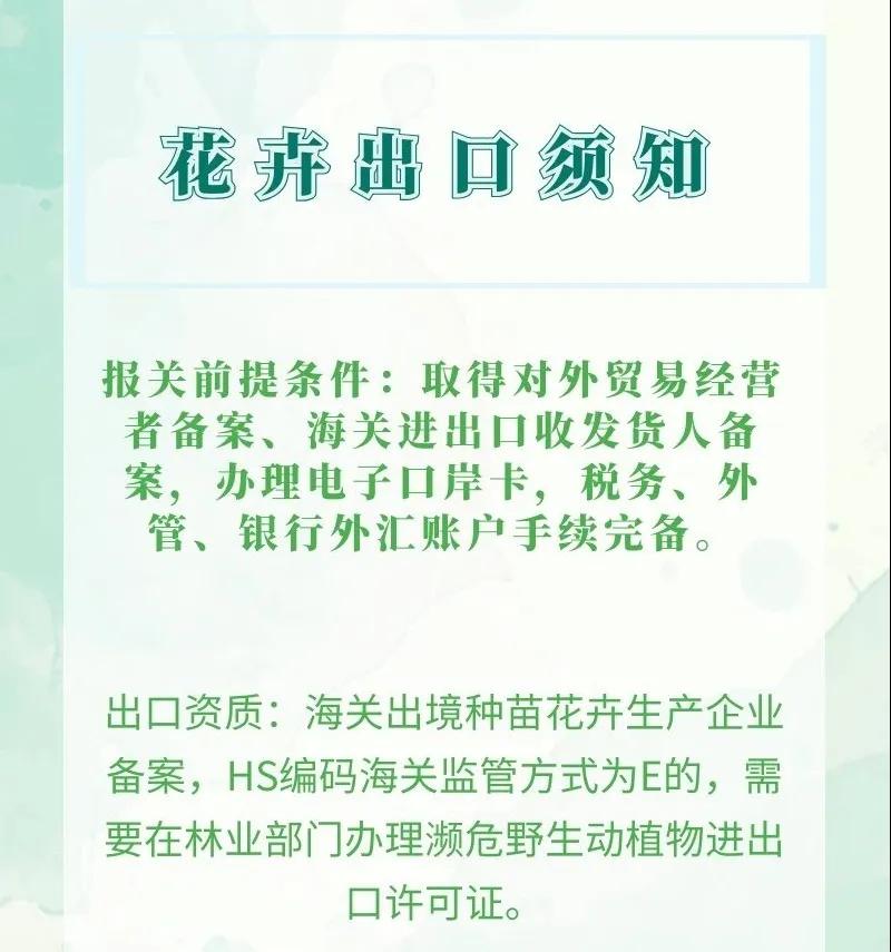 出口外贸代理
