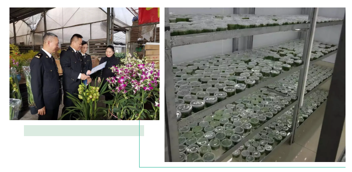 出口外贸代理
