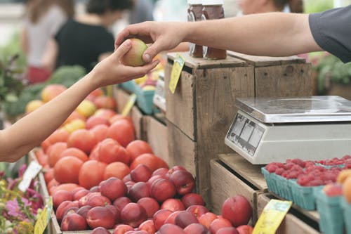 出口食品备案出口外贸代理