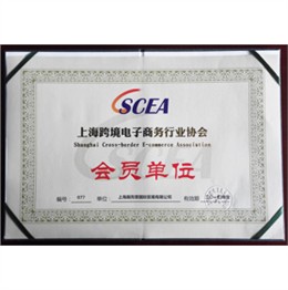上海跨境电子商务行业协会会员